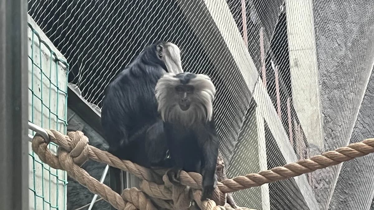 Orientarium ZOO Łódź zdjęcie