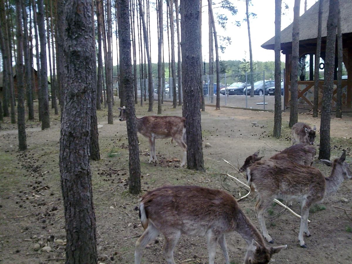 ZOO Canpol zdjęcie