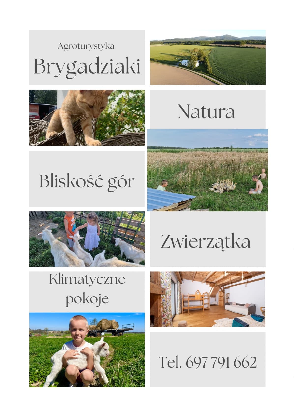 Agroturystyka Brygadziaki