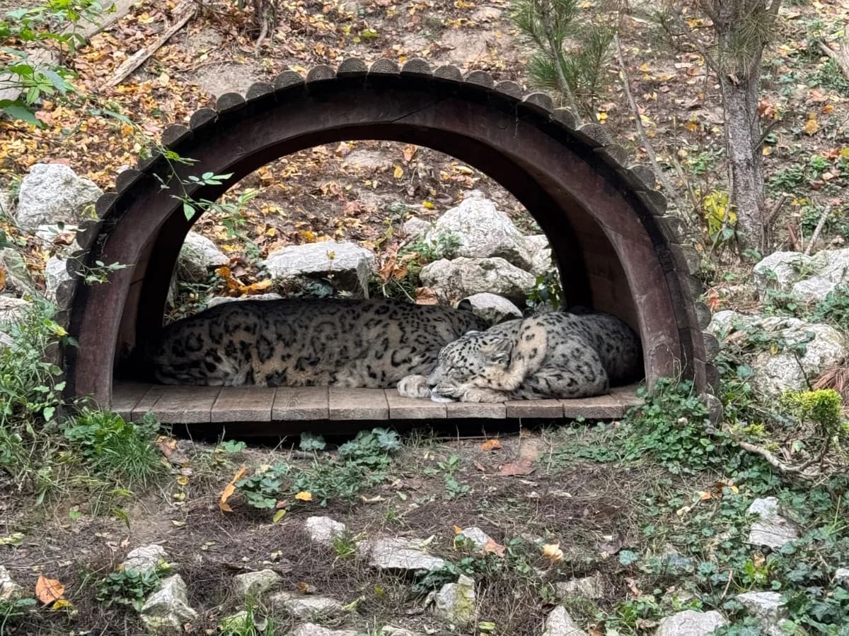 ZOO w Płocku zdjęcie