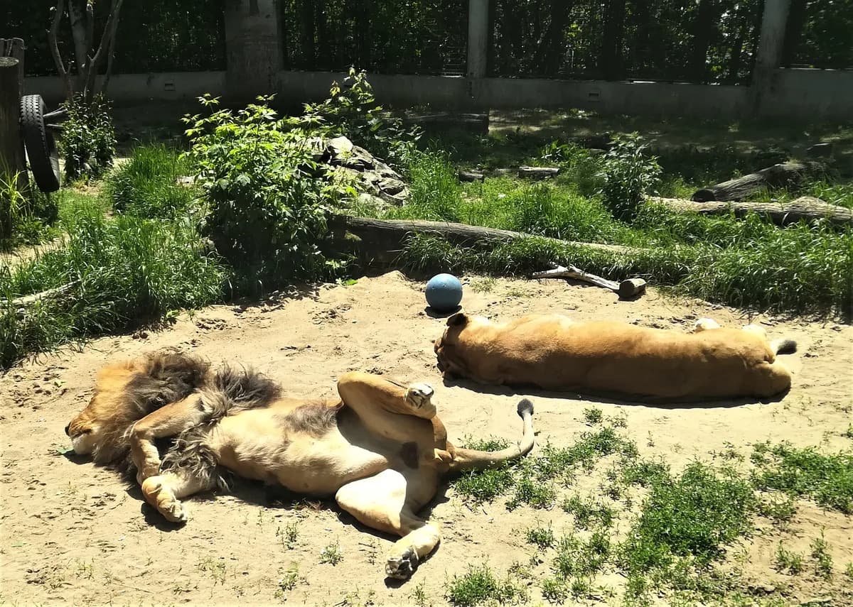 ZOO w Płocku