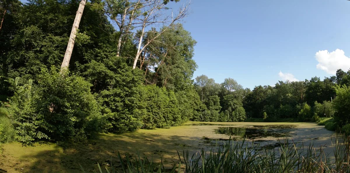 Park rekreacyjny zdjęcie