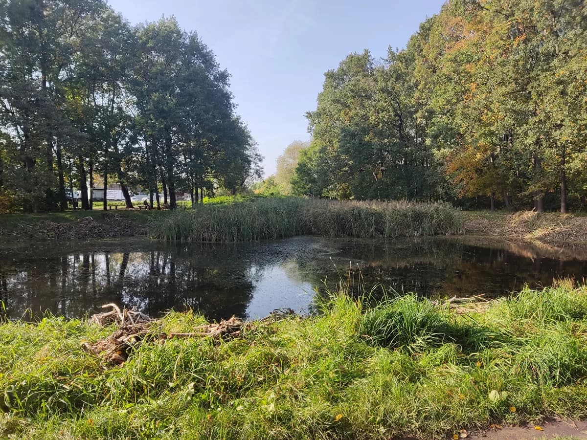 Las Kuźnicki