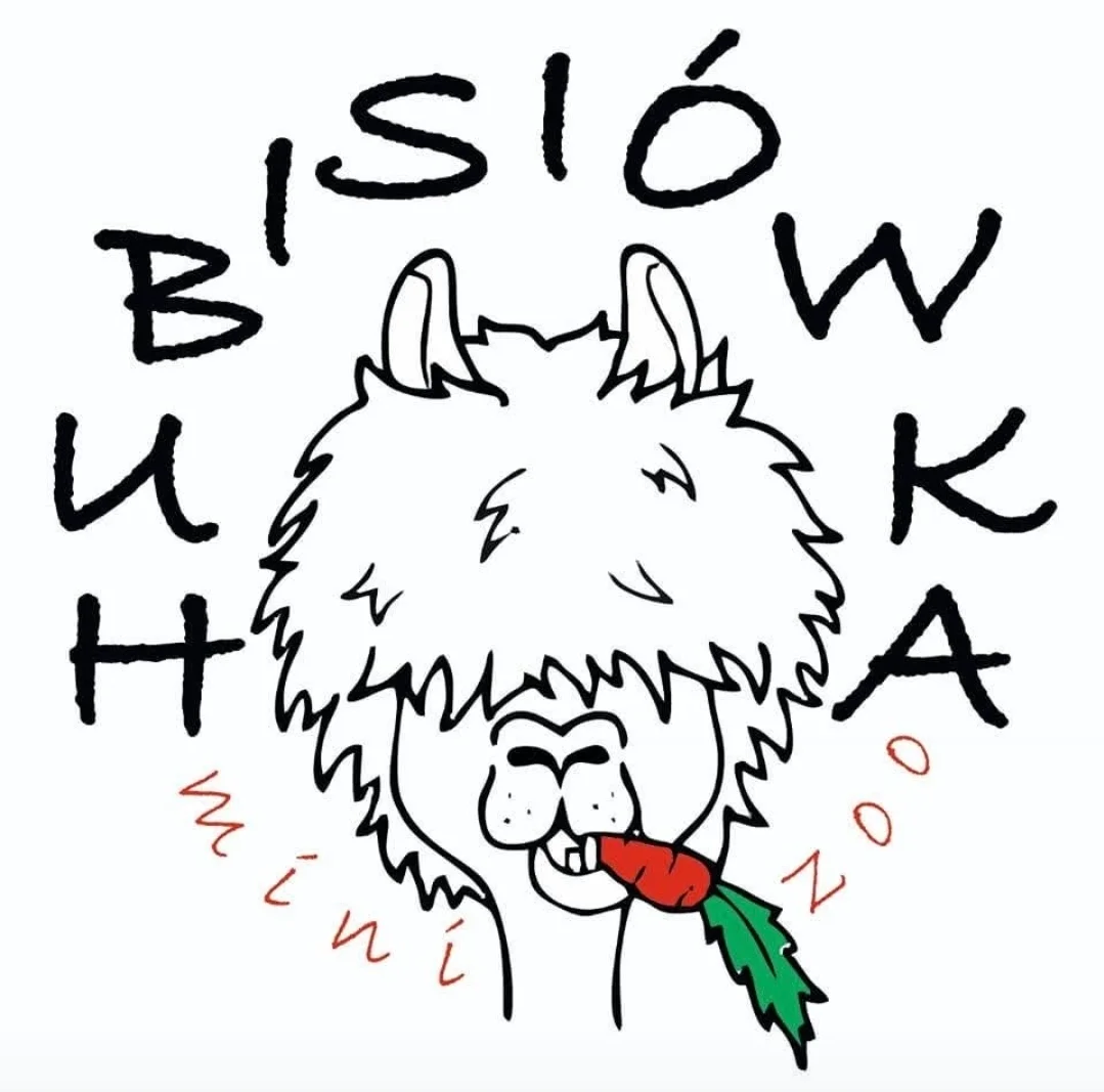 Hubisiówka zdjęcie